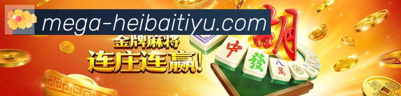未来规划